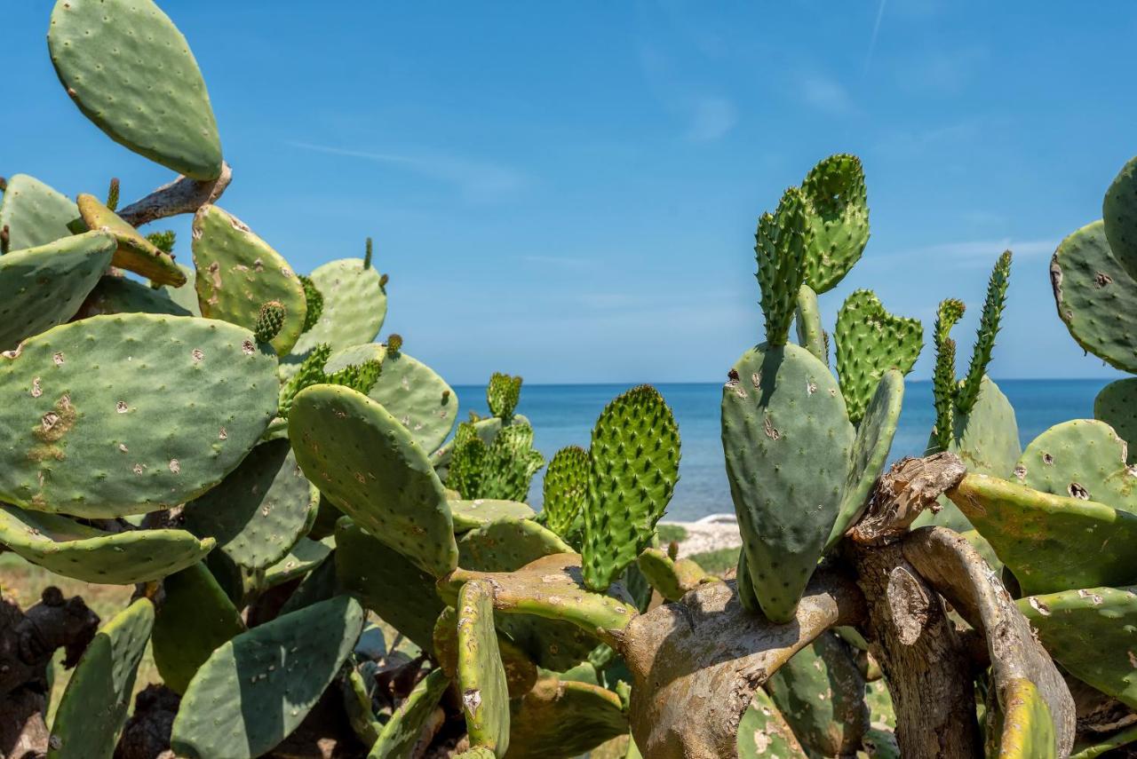 スティンティーノ Sardinia Re - Villino Majaヴィラ エクステリア 写真