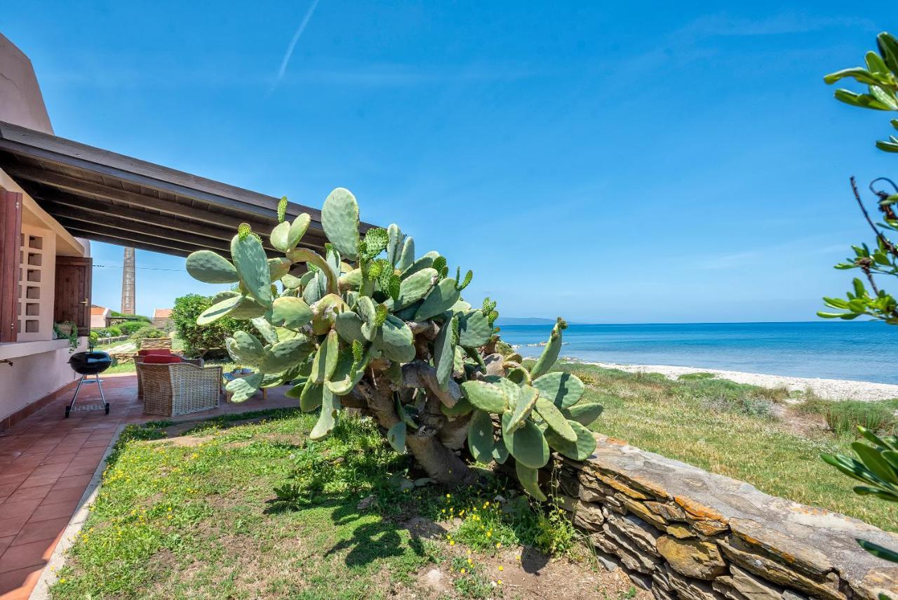 スティンティーノ Sardinia Re - Villino Majaヴィラ エクステリア 写真